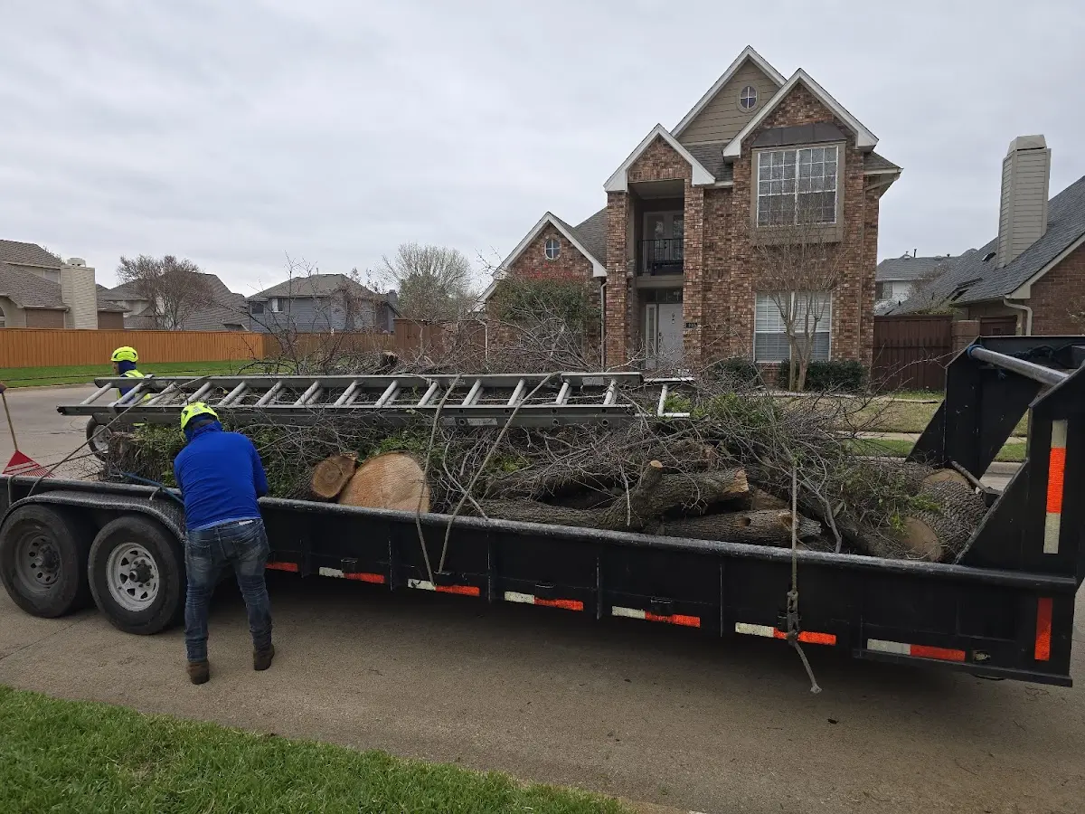 Expert Tree Removal with proper safety equipment in Friendsville
